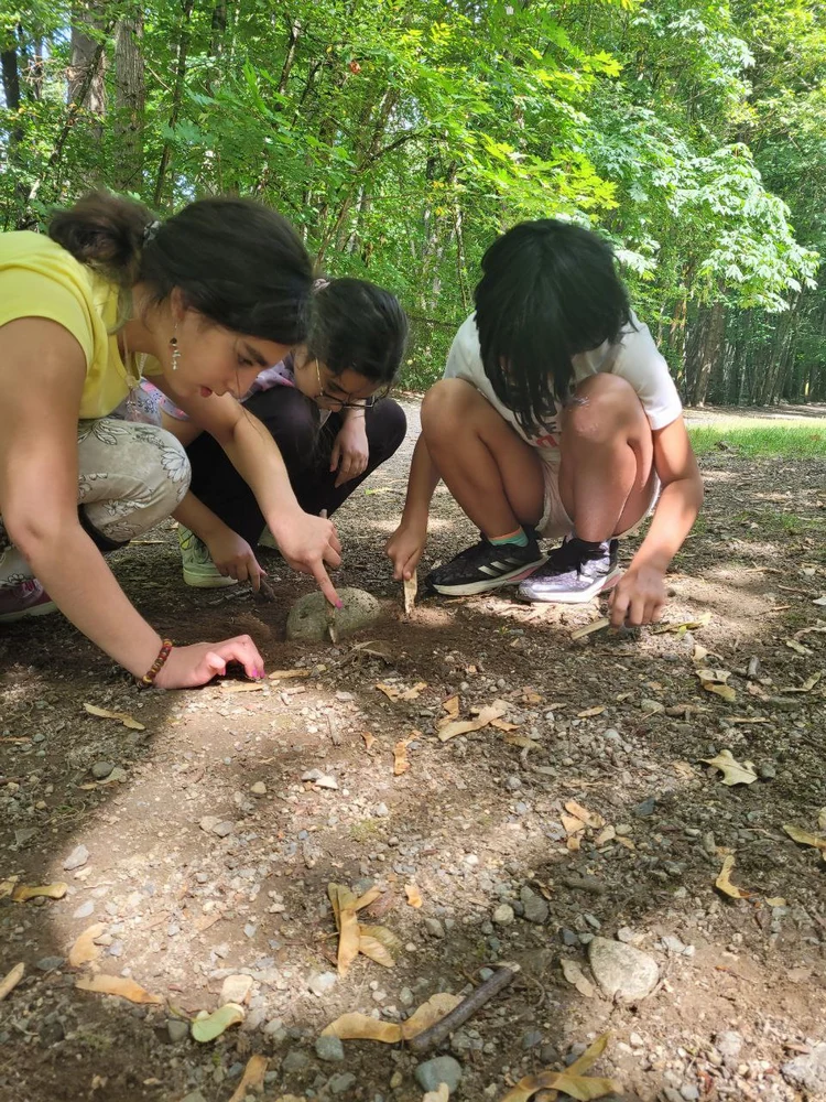 photo_2025-06-05_04-32-27 (Copy)