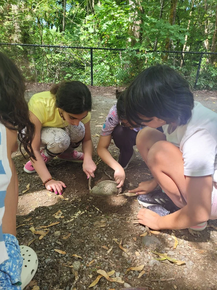 photo_2025-06-05_04-32-30 (Copy)