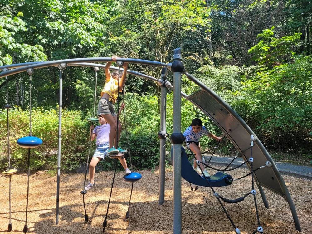 photo_2025-06-05_04-32-35 (Copy)